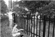 black and white image of kids painting fence
