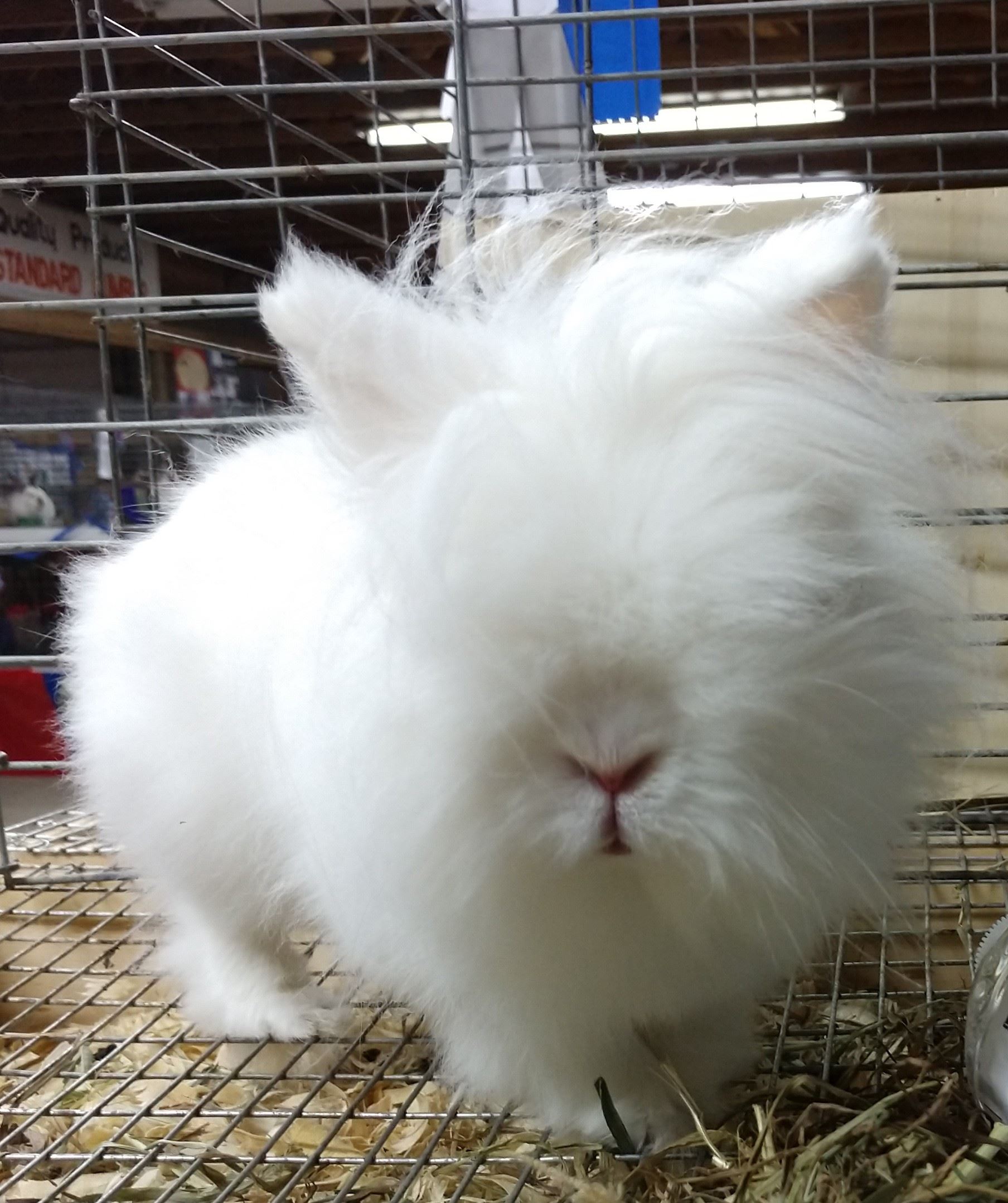 IMG_20180725_221625024