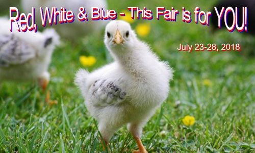 Fair Theme Facebook Banner