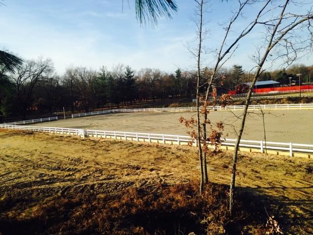 Image of the horse arena under construction